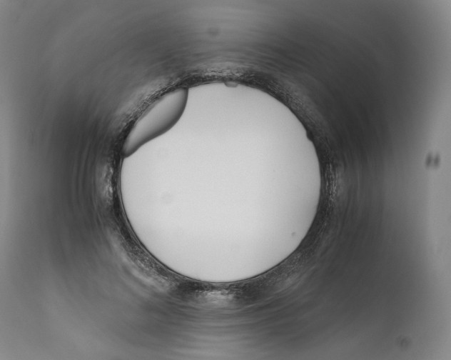 X0000110770692200907131234