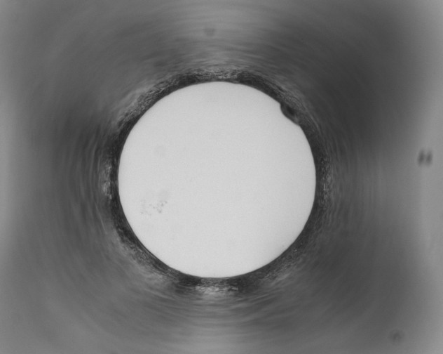 X0000110770693200907131234