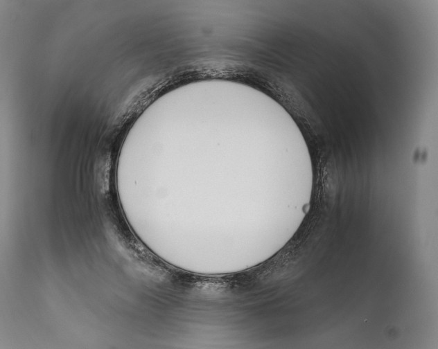 X0000110770694200907131234