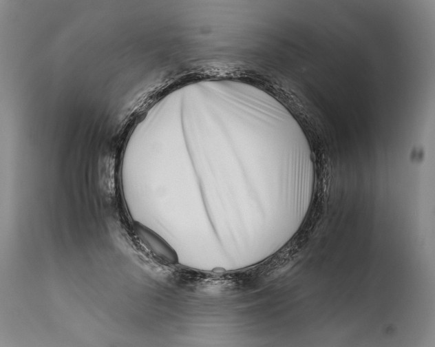 X0000110770696200907131234