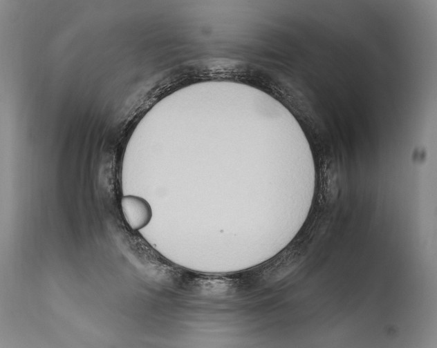 X0000110770698200907131234