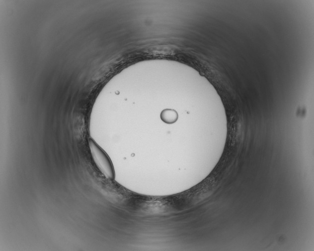 X0000110770704200907131234