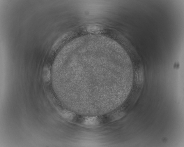 X0000110770705200907131234