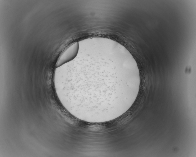 X0000110770708200907131234