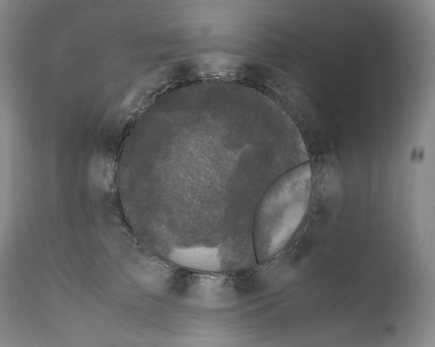 X0000110770709200907131234