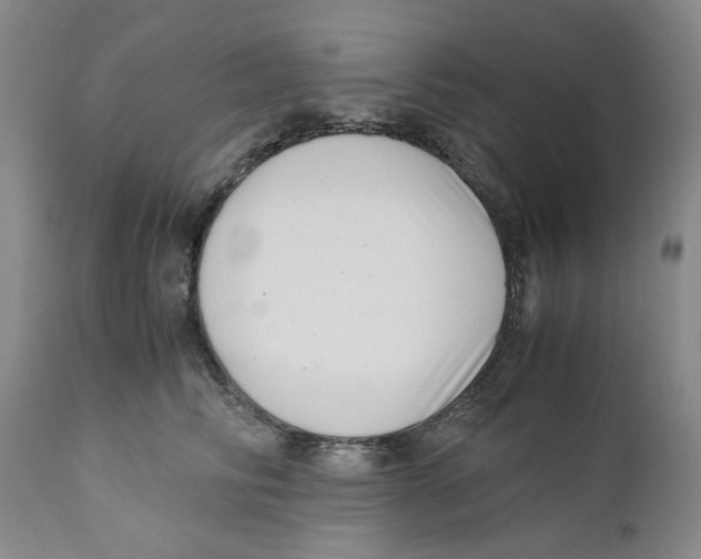 X0000110770710200907131234