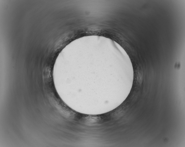 X0000110770711200907131234