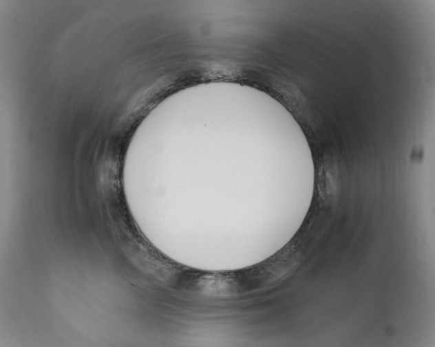 X0000110770714200907131234