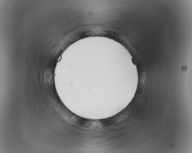 X0000110770715200907131233