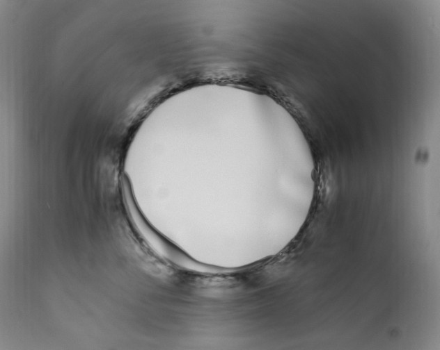 X0000110770716200907131233