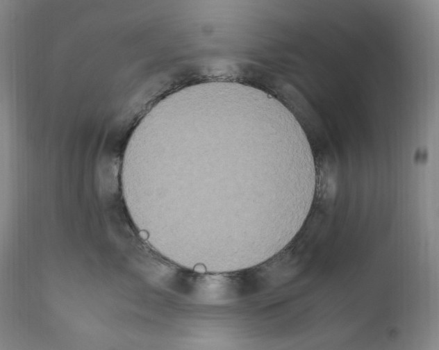 X0000110770717200907131233