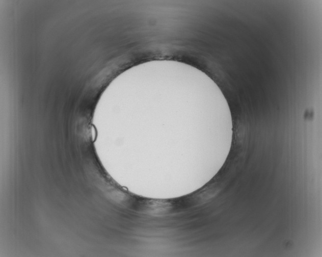 X0000110770719200907131233