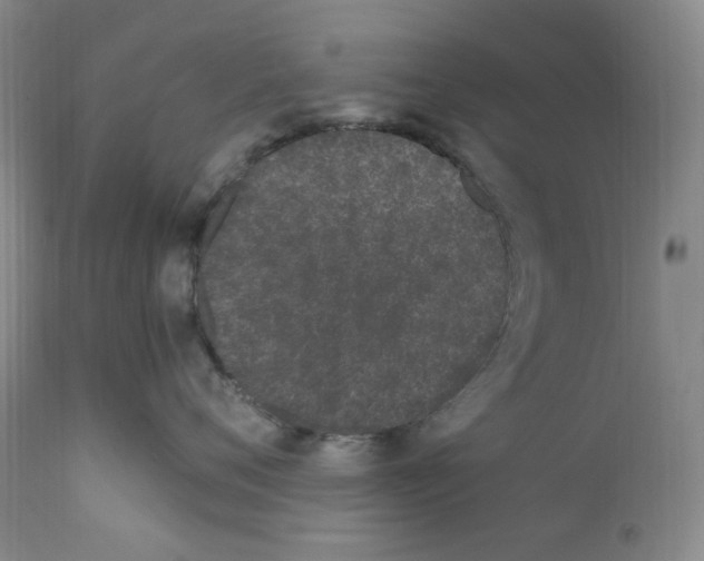 X0000110770720200907131233