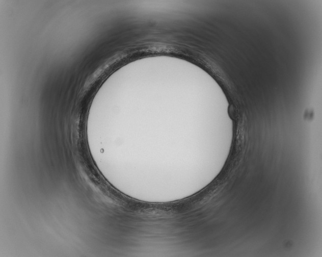 X0000110770722200907131233