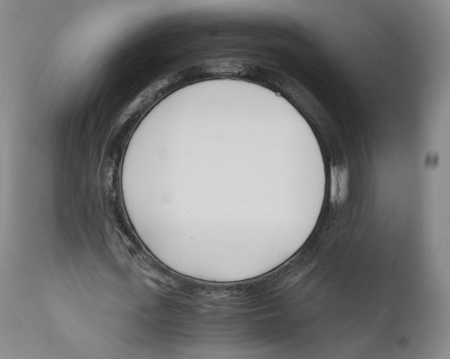 X0000110770723200907131233