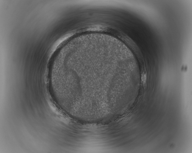 X0000110770724200907131233