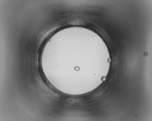 X0000110770727200907131233