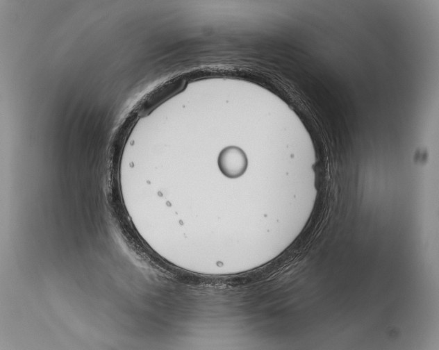 X0000110770728200907131233