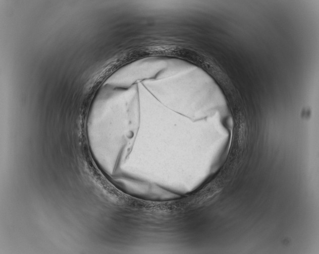 X0000110770729200907131233