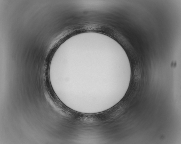 X0000110770730200907131233