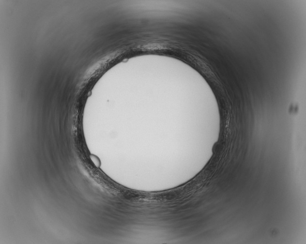 X0000110770732200907131233