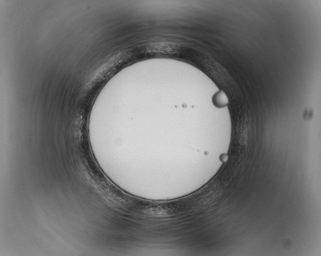 X0000110770735200907131233