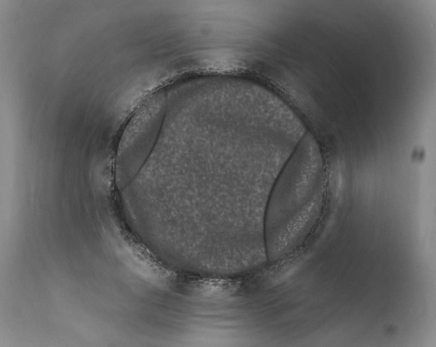 X0000110770736200907131233