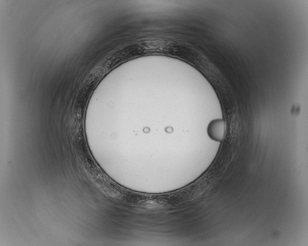 X0000110770737200907131233