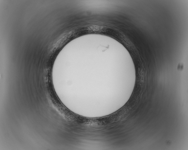 X0000110770738200907131233