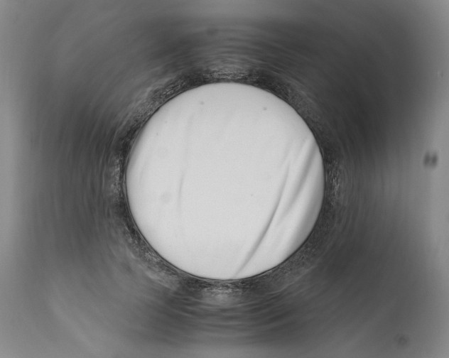 X0000110770745200907131233