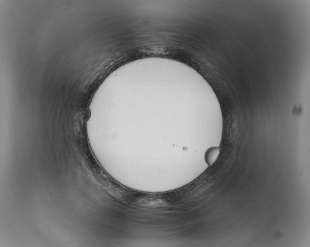 X0000110770747200907131233