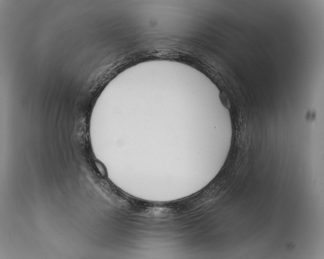 X0000110770748200907131233