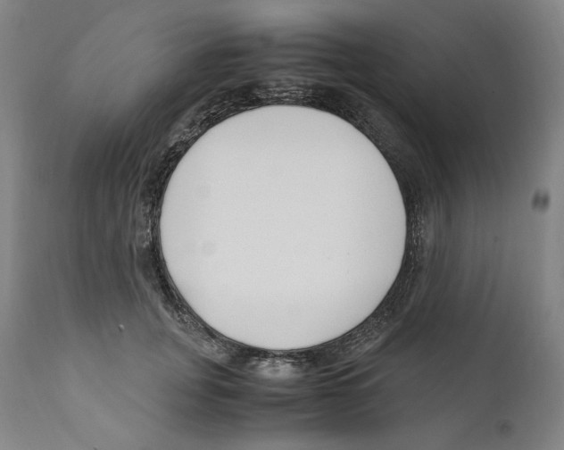 X0000110770751200907131233