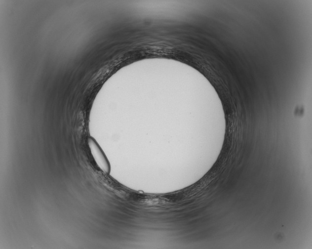 X0000110770752200907131233