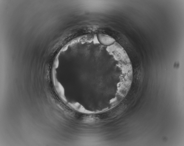 X0000110770754200907131233