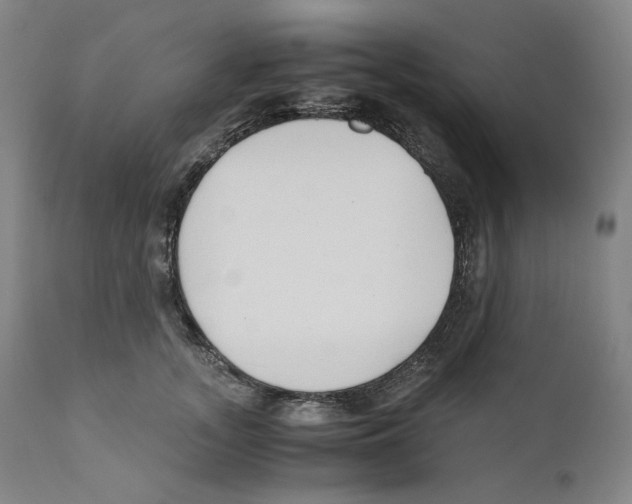 X0000110770755200907131233