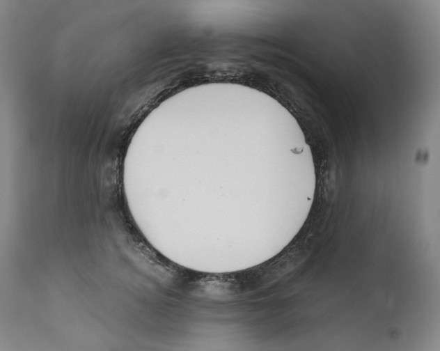 X0000110770756200907131233