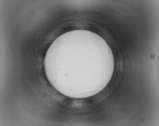 X0000110770757200907131233