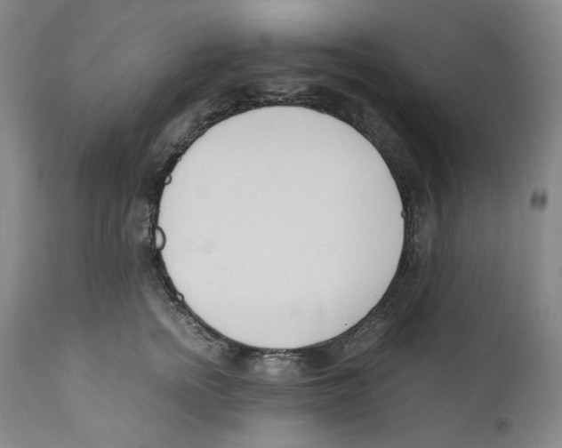 X0000110770758200907131233