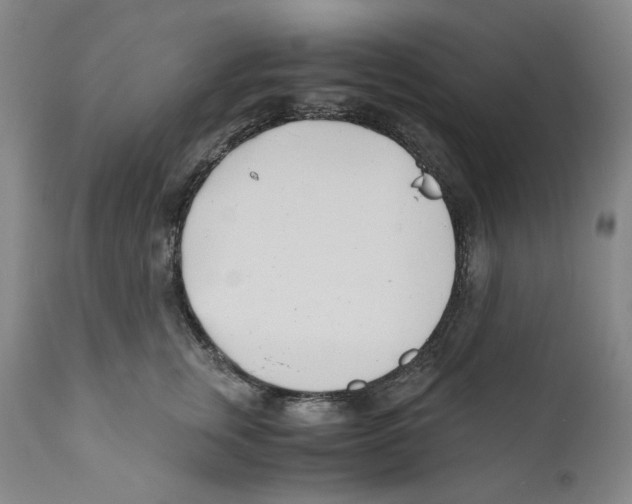 X0000110770759200907131233