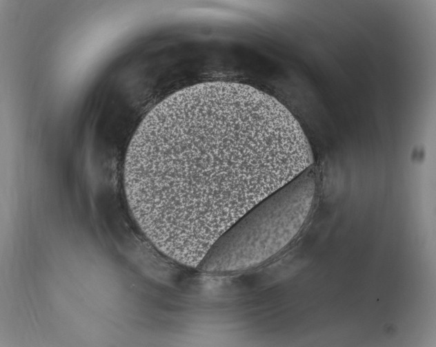 X0000110770762200907131233