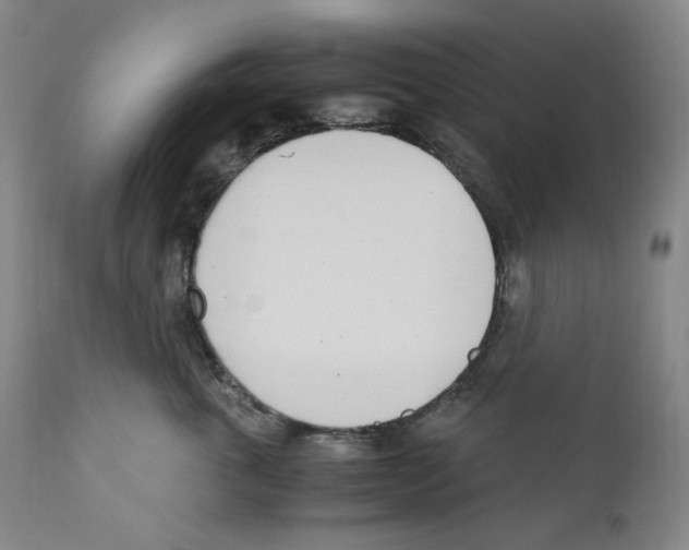 X0000110770763200907131233