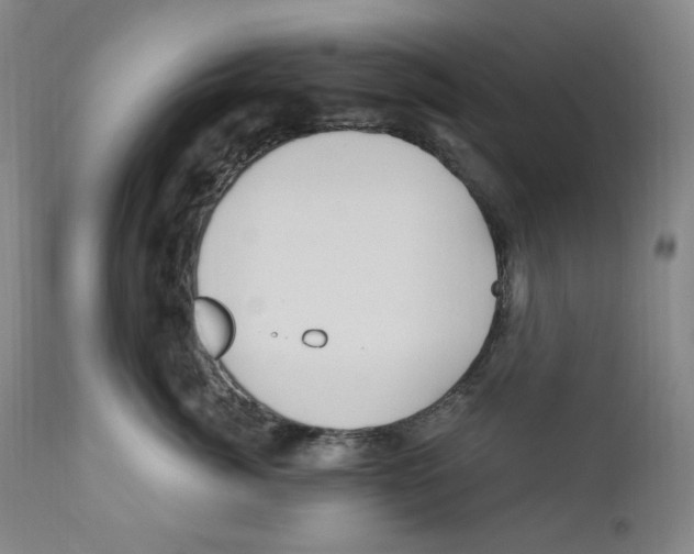 X0000110770764200907131233