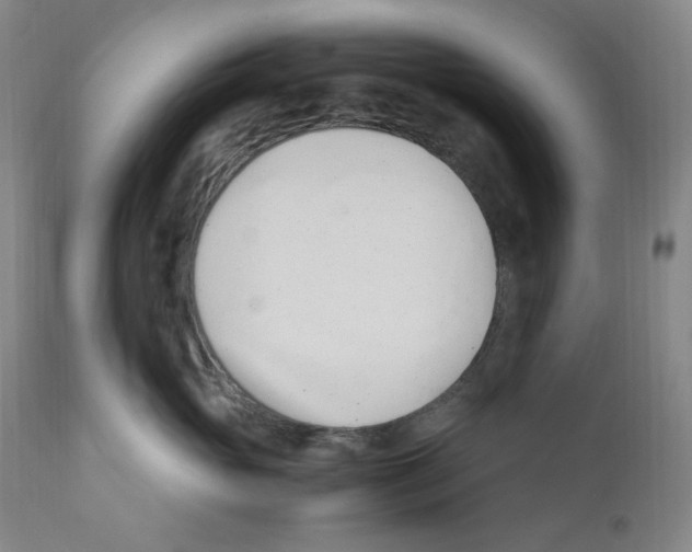 X0000110770765200907131233