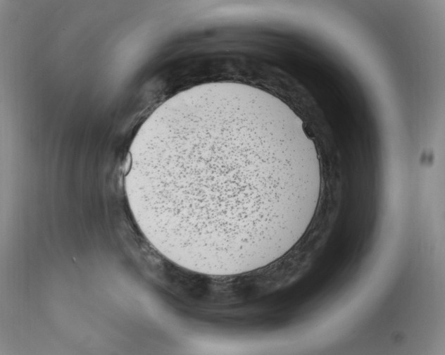 X0000110770766200907131233