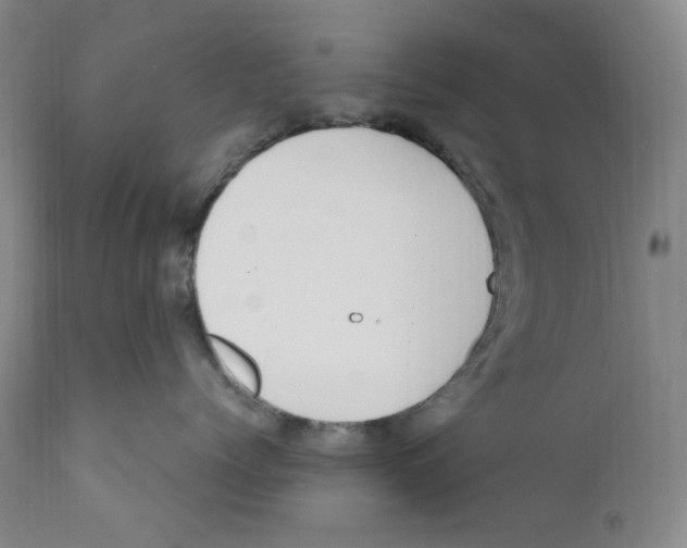 X0000110770768200907131233