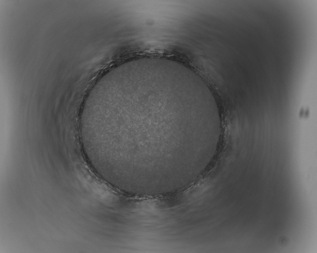 X0000110770769200907131233