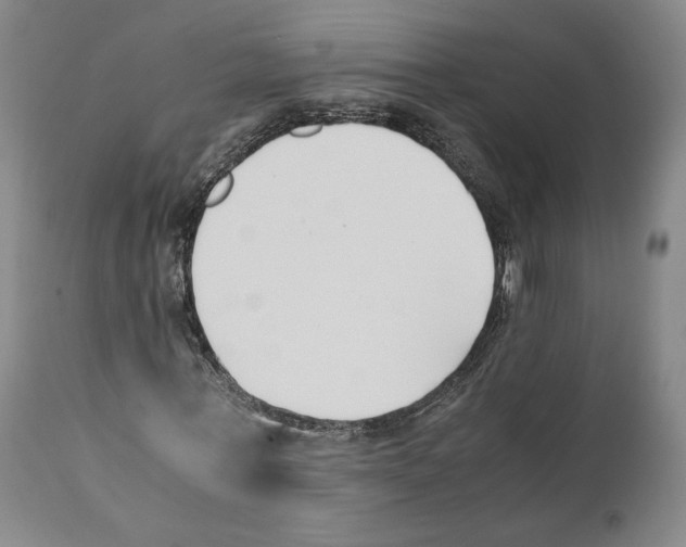 X0000110770771200907131233