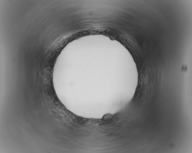 X0000110770773200907131233