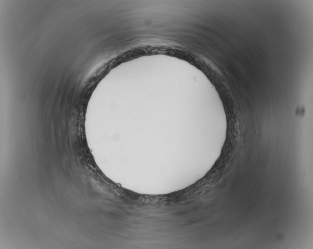 X0000110770775200907131233